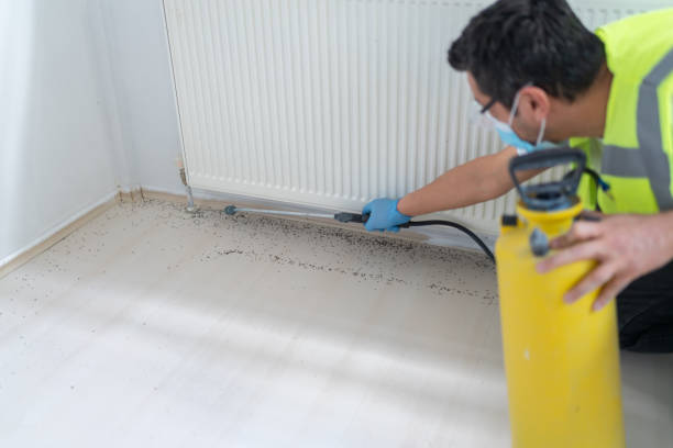 Best Best Pest Control Companies  in Weeping Water, NE