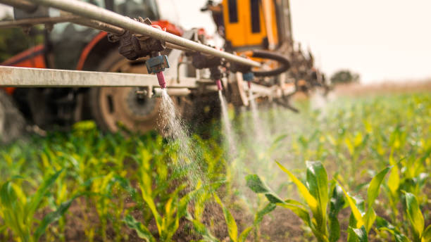 Best Pest Control for Homes  in Weeping Water, NE